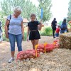 gornja-radgona, sejem-agra-2024