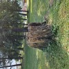 _grajski_park__1_.jpg