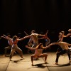 gran-bolero, 19.-festival-sodobnega-plesa-fronta, fronta, zavod-flota