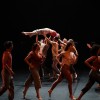 gran-bolero, 19.-festival-sodobnega-plesa-fronta, fronta, zavod-flota