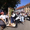 lendavska-trgatev, občina-lendava, festival-vinarium