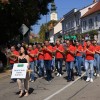 lendavska-trgatev, občina-lendava, festival-vinarium