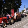 lendavska-trgatev, občina-lendava, festival-vinarium