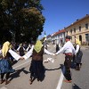 lendavska-trgatev, občina-lendava, festival-vinarium