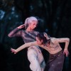 festival-fronta-sodobnega-plesa, ples, umetnost