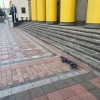 dron, ukrajinski parlament