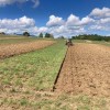 orači, kmetje, kmetice, državno-tekmovanje-v-oranju