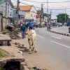 cesta nigerija.jpg