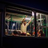 bus migranti