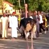 noj nigerija zoo.jpg