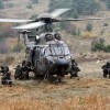 cougar_1_scaled.jpg