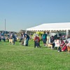razstava-psov, gaberje