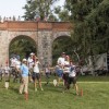 efc_mokrice_25_8_2017_099_photoalesrosa.jpg