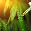 priloga cbd.jpg