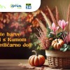 Nagradna igra Cvetličarna Joli