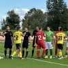 7.-krog, 3.-snl-vzhod, krško, posavje, čarda-martjanci