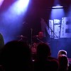 murska-sobota, koncert, niet