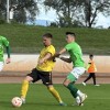 7.-krog, 3.-snl-vzhod, krško, posavje, čarda-martjanci