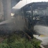 tajska-avtobus-1.jpg