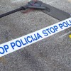 e_skiro_m_vavpotic_m24.jpg