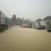 poplave