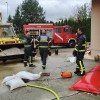 _pgd_dolenja_straza.jpg