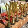 prekmurski-mali-maraton, moravske-toplice