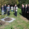 vrt-spominov-in-tovarištva, cankarjeva-brigada, navadna-breza