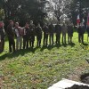vrt-spominov-in-tovarištva, cankarjeva-brigada, navadna-breza