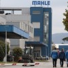 mahle.JPG