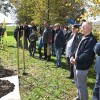 vrt-spominov-in-tovarištva, cankarjeva-brigada, navadna-breza