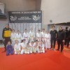 judo