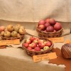 praznik_topliskega_jabolka08.jpg