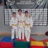 judo