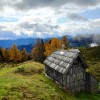 shutterstock_1887616834.jpg