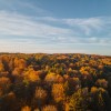 simbolična, jesen, gozd, goričko, drevesa, narava, dron, krošnja, krošnje