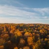 simbolična, jesen, gozd, goričko, drevesa, narava, dron, krošnja, krošnje
