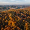 simbolična, jesen, gozd, goričko, drevesa, narava, dron, krošnja, krošnje