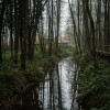 copekov-mlin, polana