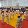 judo, miklavzev-turnir
