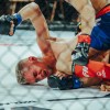 vfn-vikings, ljutomer, mma, borilne-veščine, kletka