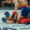 vfn-vikings, ljutomer, mma, borilne-veščine, kletka