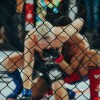 vfn-vikings, ljutomer, mma, borilne-veščine, kletka
