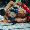 vfn-vikings, ljutomer, mma, borilne-veščine, kletka