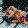 vfn-vikings, ljutomer, mma, borilne-veščine, kletka