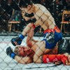 vfn-vikings, ljutomer, mma, borilne-veščine, kletka