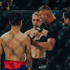 vfn-vikings, ljutomer, mma, borilne-veščine, kletka