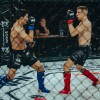 vfn-vikings, ljutomer, mma, borilne-veščine, kletka