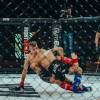 vfn-vikings, ljutomer, mma, borilne-veščine, kletka