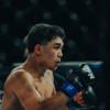 vfn-vikings, ljutomer, mma, borilne-veščine, kletka